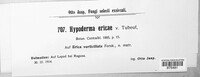 Image Associated With the Occurrence